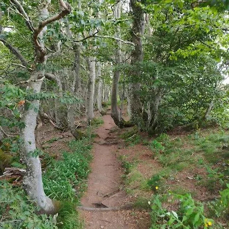 Chalet- Capacité 8/10 Pers Au Cœur De La Station *